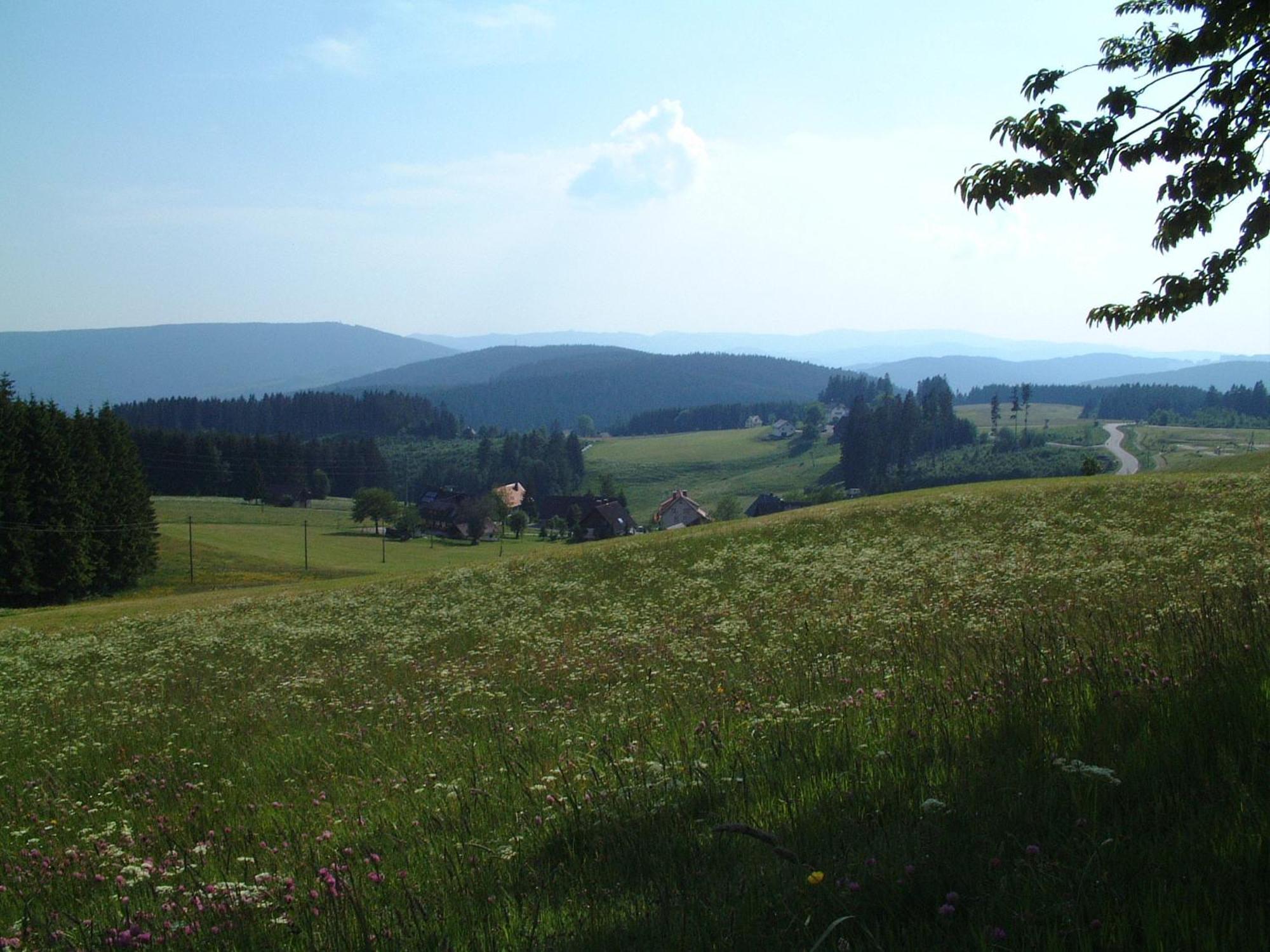 Cafe-Pension Feldbergblick ティティゼー・ノイシュタット エクステリア 写真