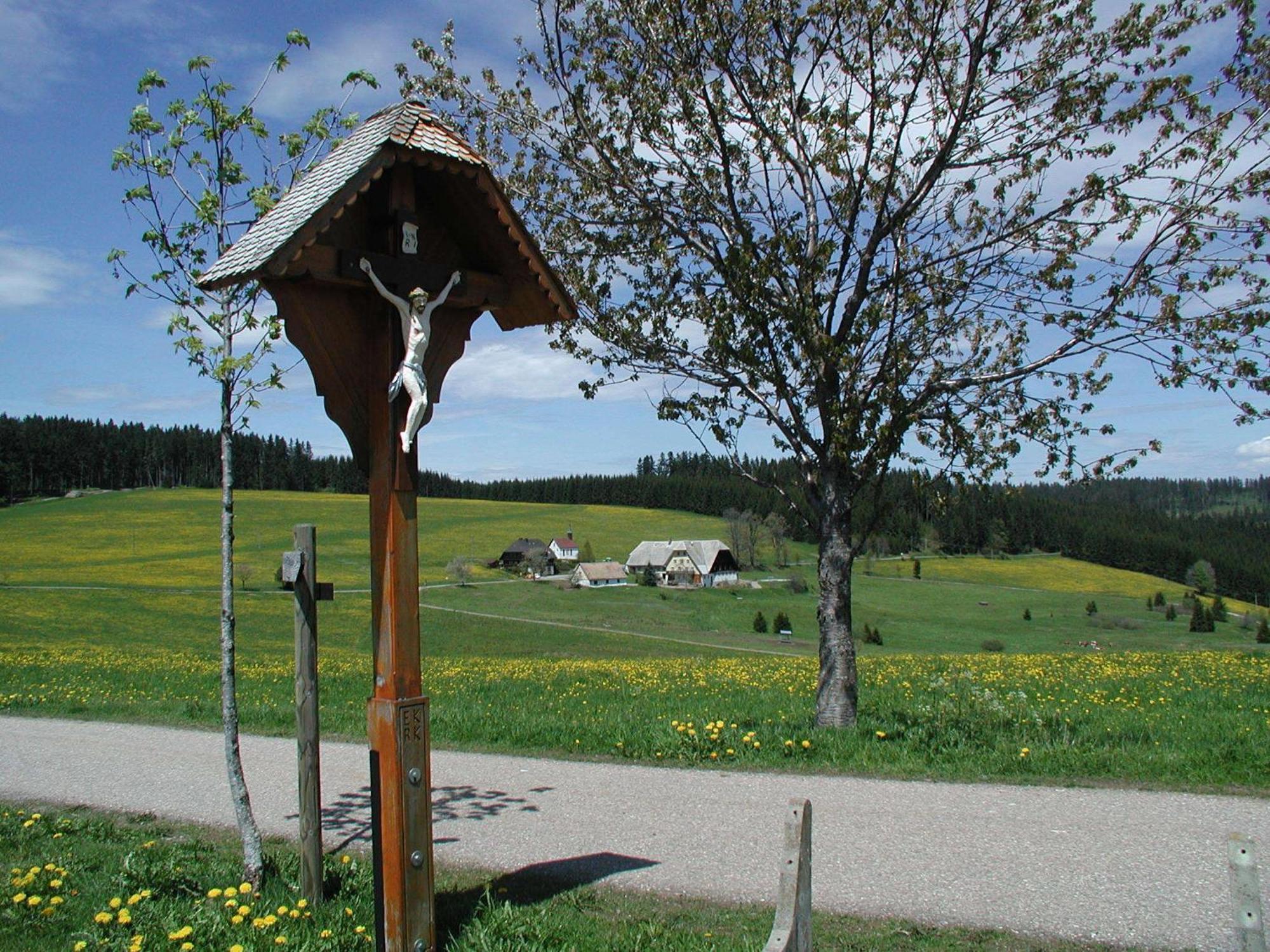 Cafe-Pension Feldbergblick ティティゼー・ノイシュタット エクステリア 写真